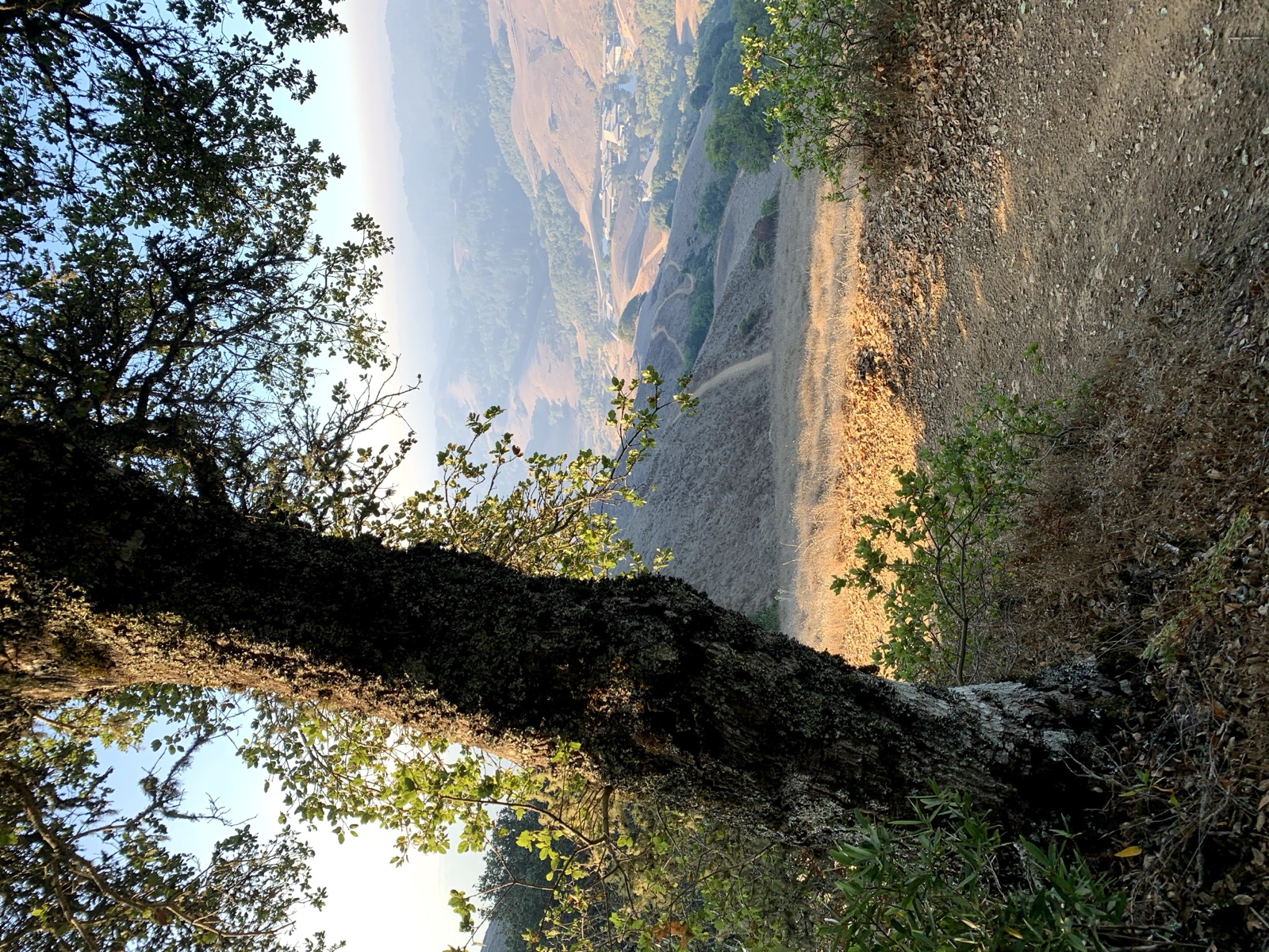 Segment 8, photo 7