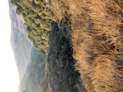 Segment 8 photo 3