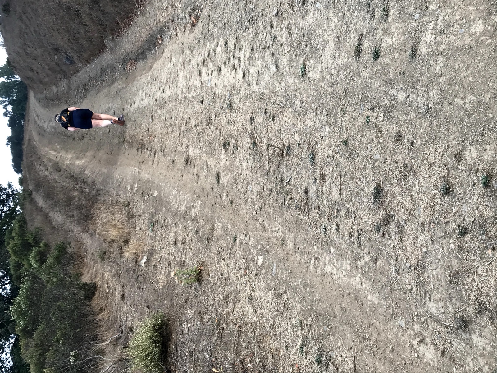 Segment 9, photo 4