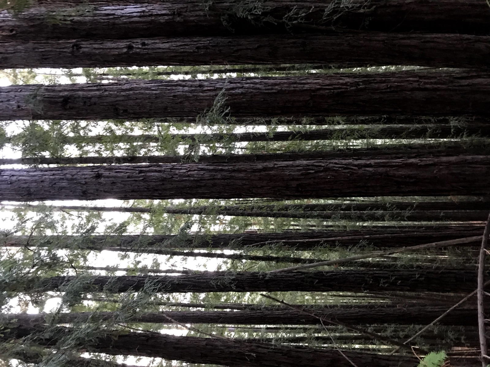 Segment 9, photo 5