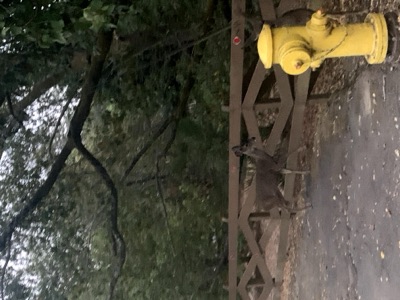Segment 9 photo 6